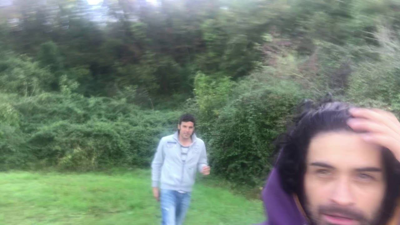 Passeggiata nel bosco