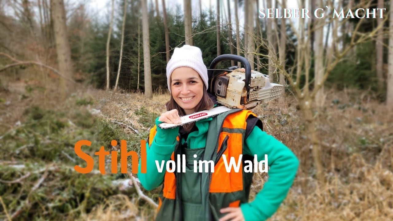 Die Birke -  Königin des Waldes