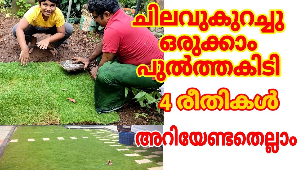 lawn,  garden, പുൽത്തകിടി ഒരുക്കാം ഈസിയായി.carpet grass,korean grass, Mexican grass, garden design