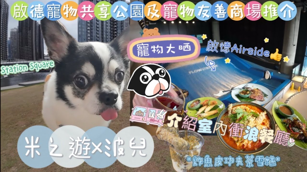 [啟德]寵物共享公園｜寵物友善商場|Airside｜室內衝浪餐廳｜炸魚皮功夫茶雪糕｜啟德車站廣場｜Kai Tak Station Square｜ #啟德站 #airside #啟德 #寵物