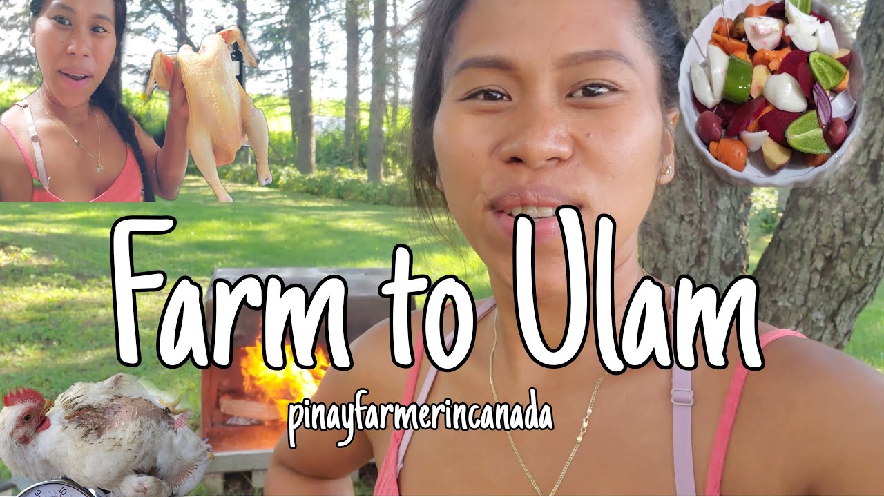 Pinay farmer in Canada Cooking BBQ and Eating my Alagang Manok for Hapunan Fresh Gulay sa Garden.