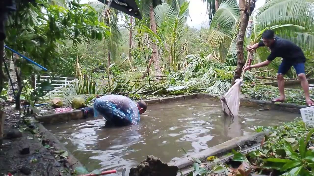 PAGKA TAPOS NG BAGYO WALANG PANG ULAM KOHA MUNA NG TILAPYA😀😀😋