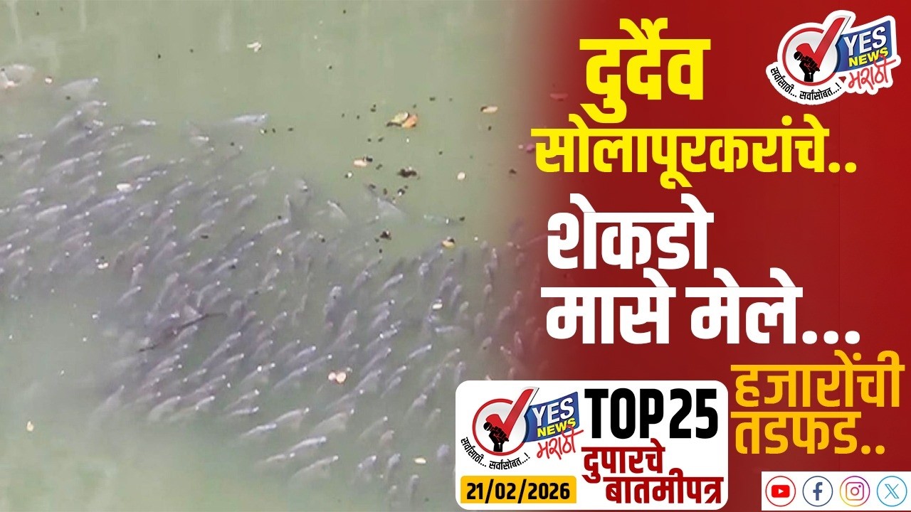 TOP 25 । दुर्दैव सोलापूरकरांचे.. शेकडो मासे मेले...हजारोंची तडफड..
