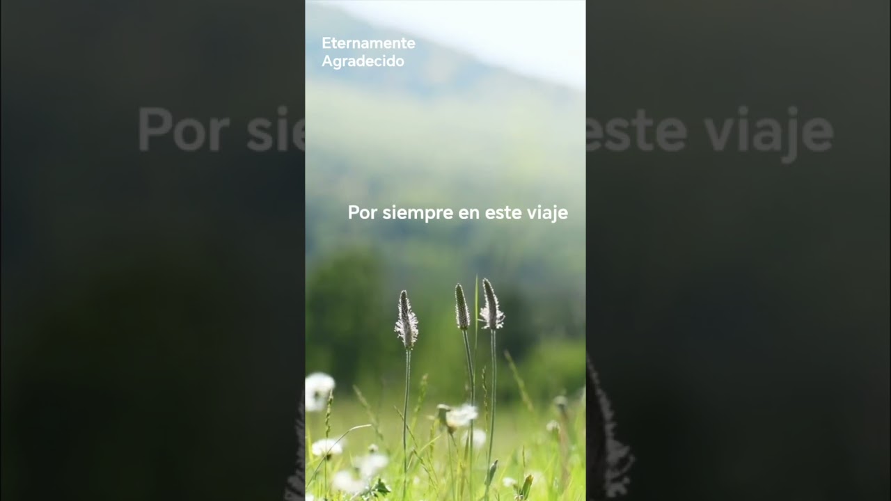 ETERNAMENTE AGRADECIDO. 