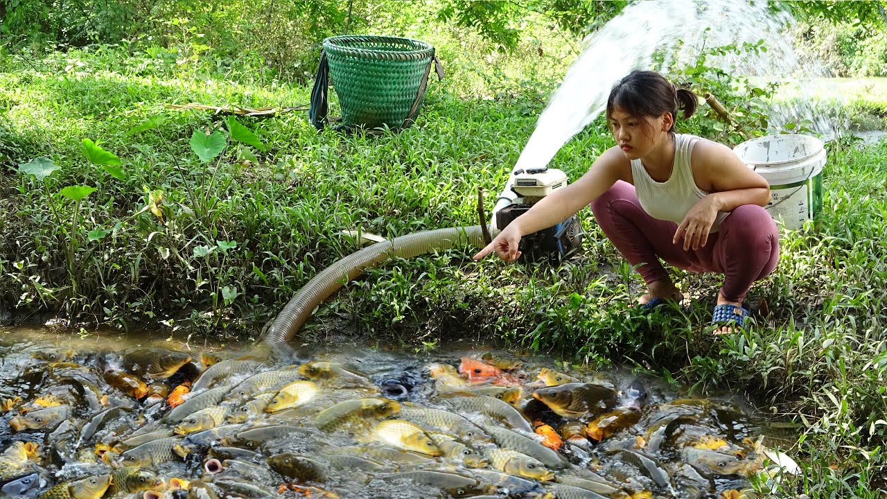 Unique Fishing, Fishing Extraordinary Techniques, The Girl Fishing With With Pump, Catch Many Fish
