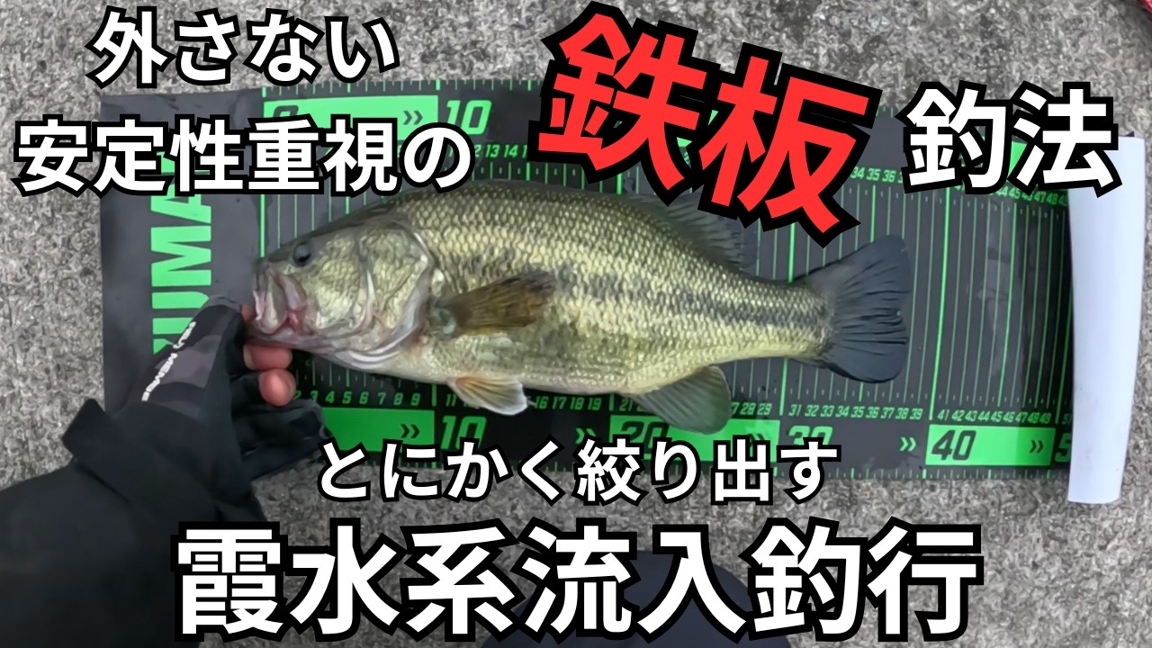 【霞ヶ浦 バス釣り】まだ2月だけど2026年のタックルオブザイヤーはこれに決めた