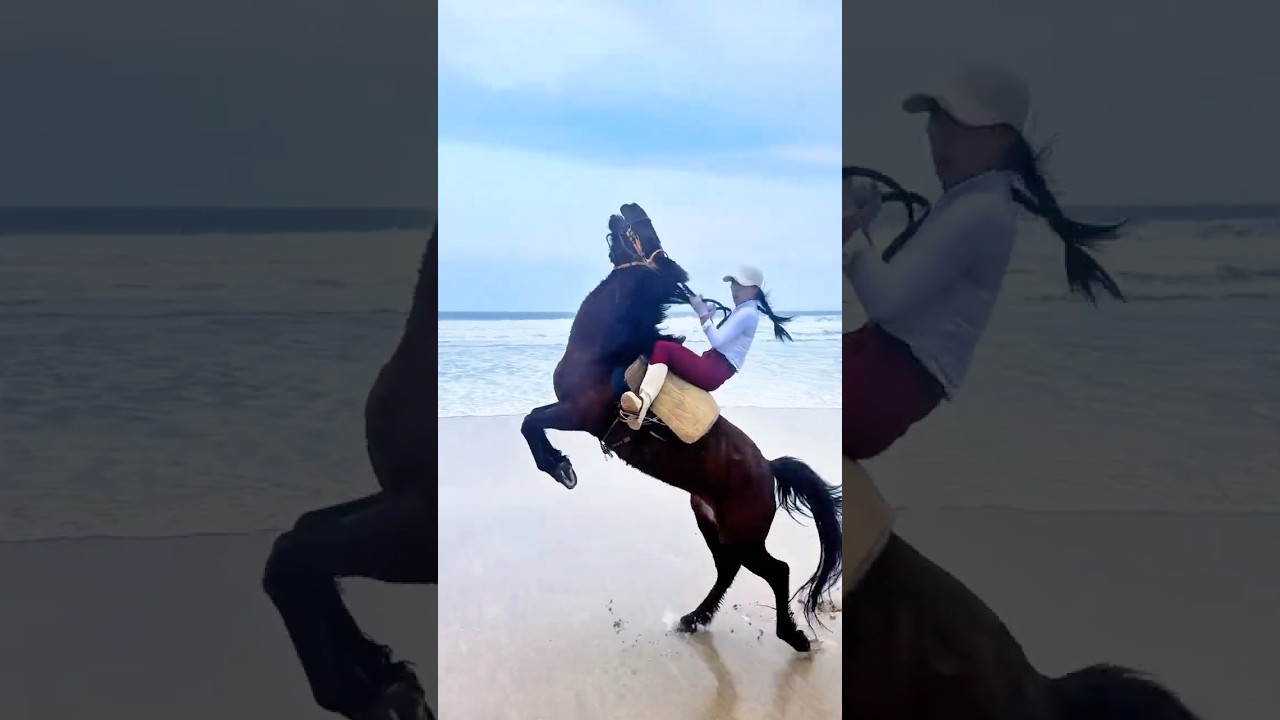 My horse is so strong and brave #horse #horses #horseriding #horsetrack