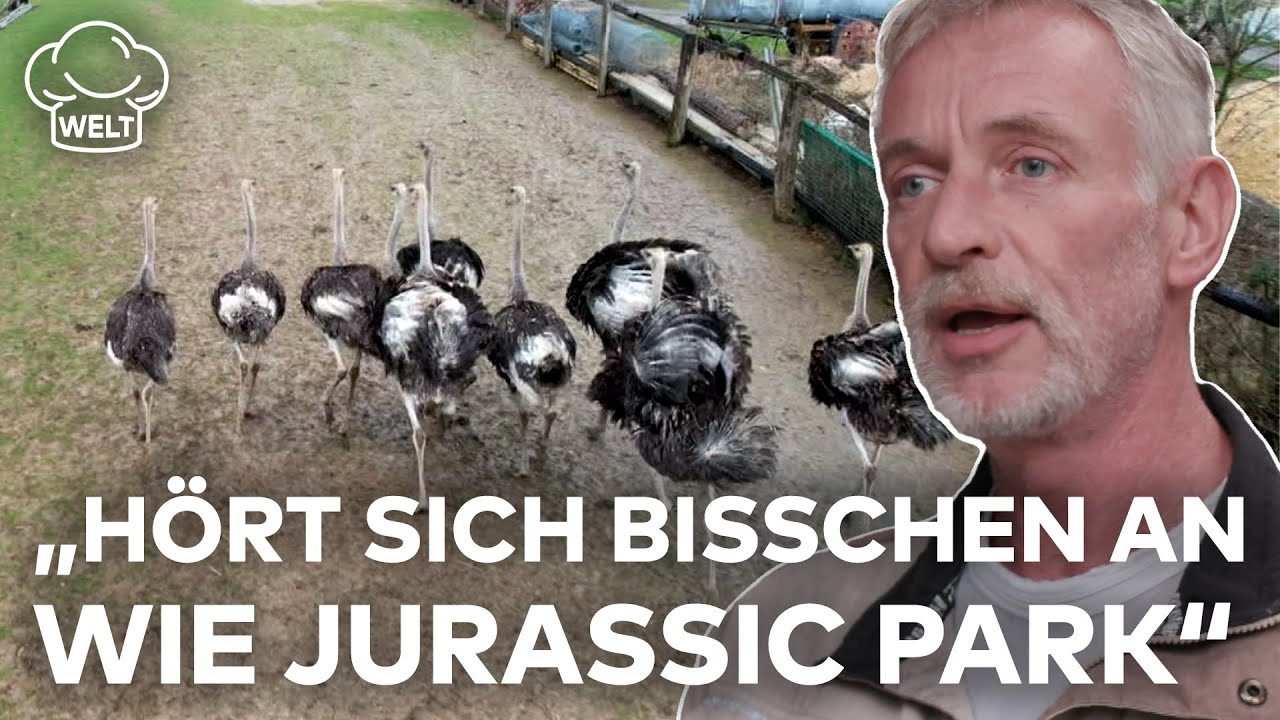 STRAUSSENFARM EMMINGHAUSEN: Fleischtrend-Alarm! Strau&szlig;enfleisch wird immer beliebter | Food Magazin