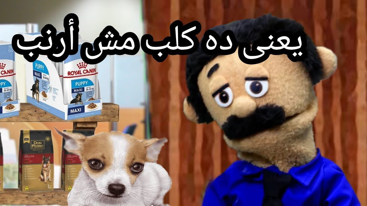 لما تشترى كلب لمراتك (جزء 2)