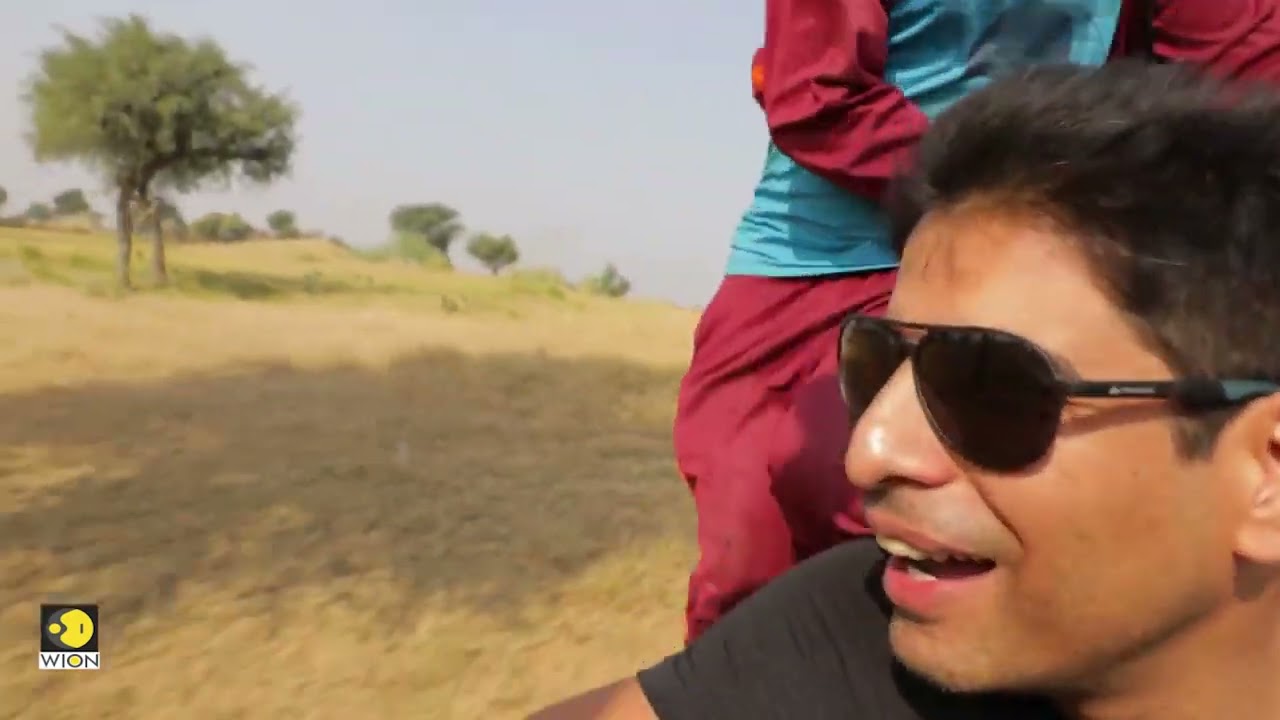 WION Channel coverage on Dundlod Safaris shekhawati