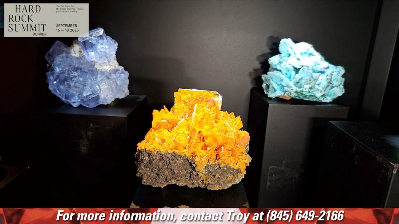 Wilensky Exquisite Minerals - LIVE at the 2023 HardRock Summit
