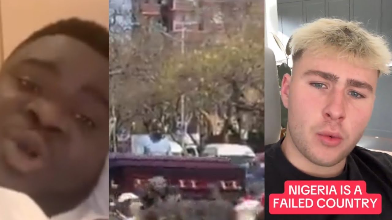No Rest For South Africans, Illegal Aliens AGAIN