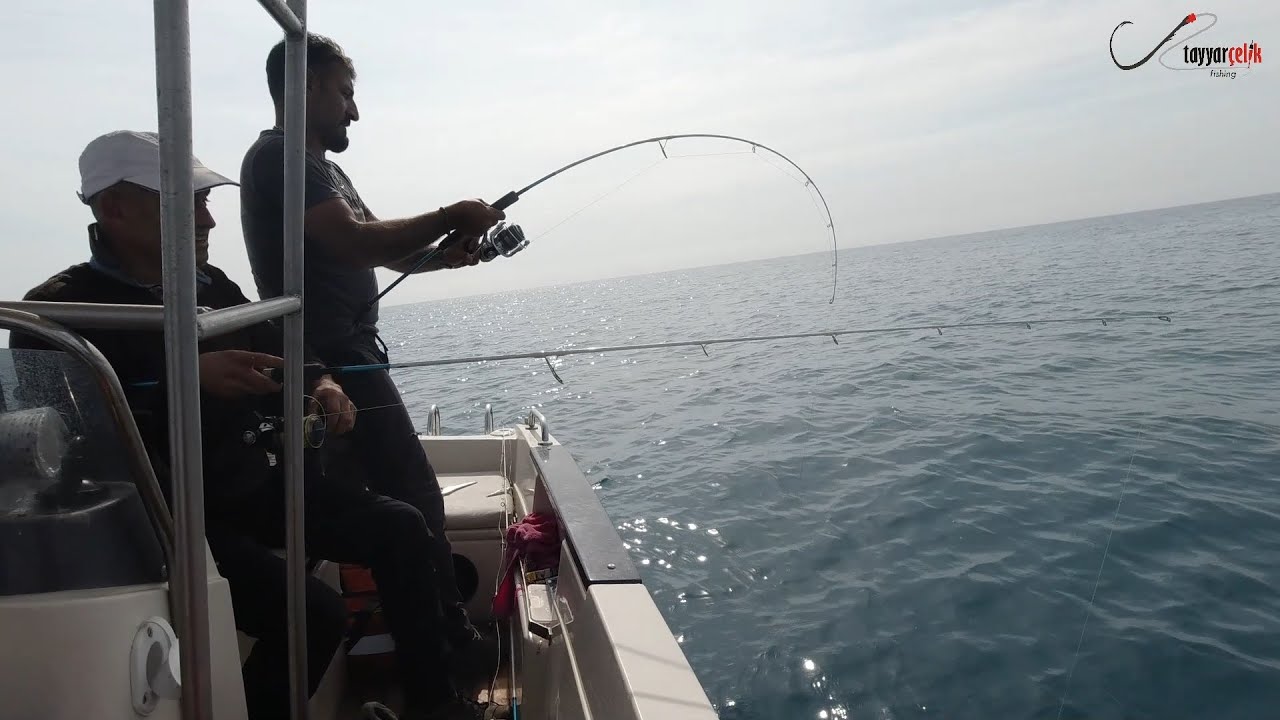 Tekne İle Balık Avı 🎣 Taşucu Açıklarında Aksiyon Dolu Saatler 🐟 Bol Çeşitli Balık Avı