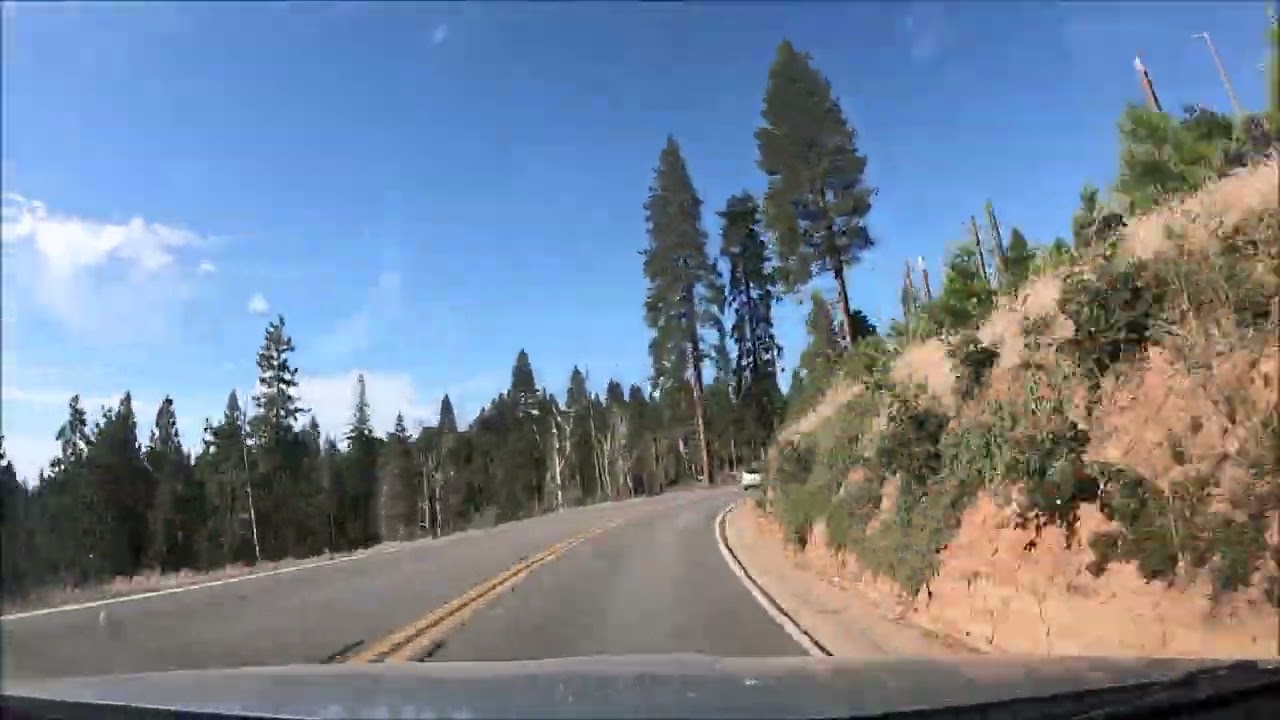 2023-08-16 Wawona Campground  - Oakhurst