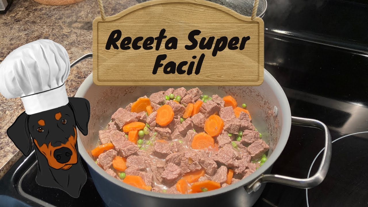 Receta Casera para perros - Estofado de carne