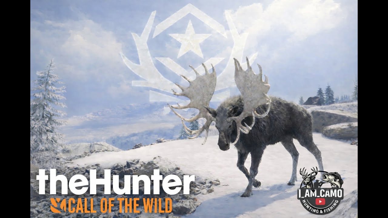 My first G1 moose The Asher Great One 