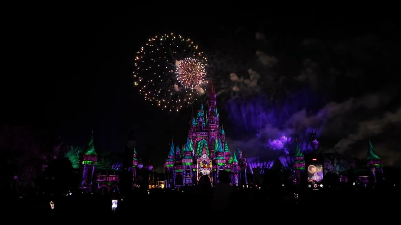 Magic Kingdom 