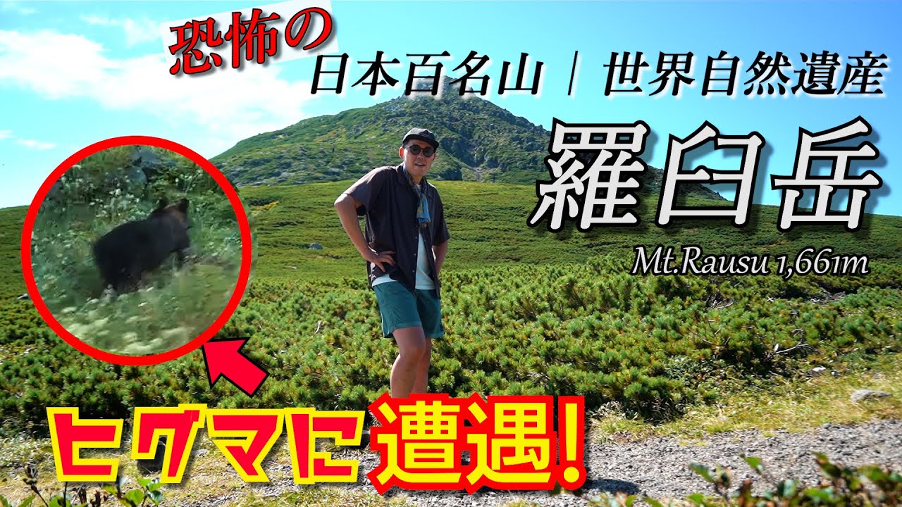 【羅臼岳】いきなりヒグマに遭遇！大自然の動物に翻弄されるビビり登山・・・しかし山頂は360度の大展望！