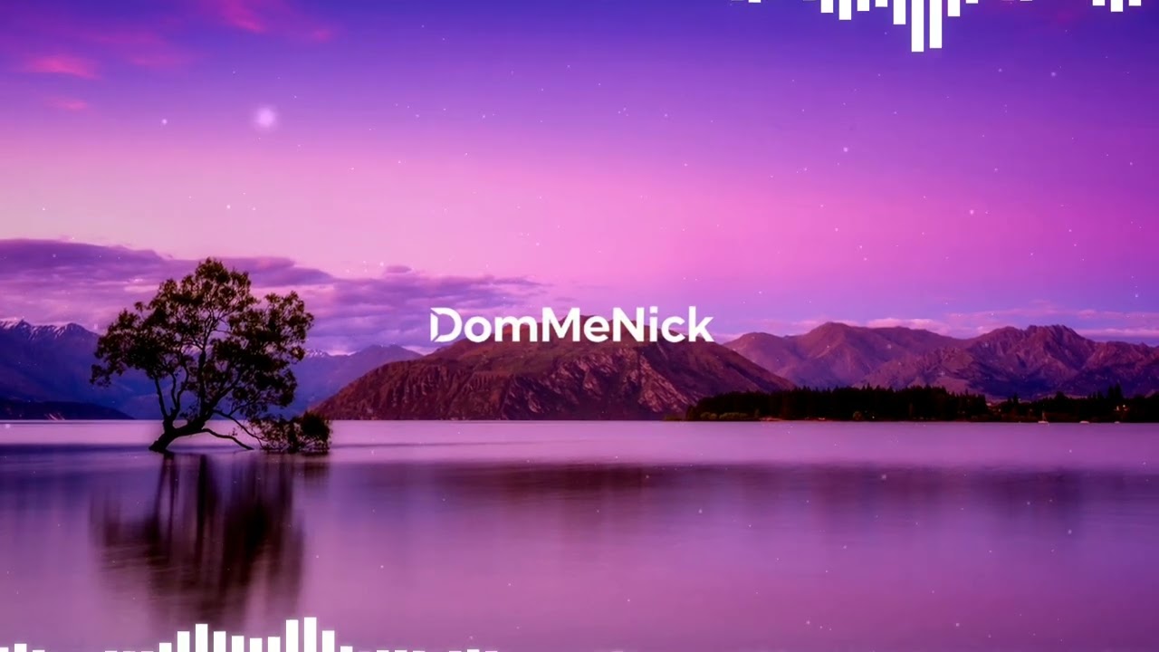 RUN | DomMeNick Visualizer