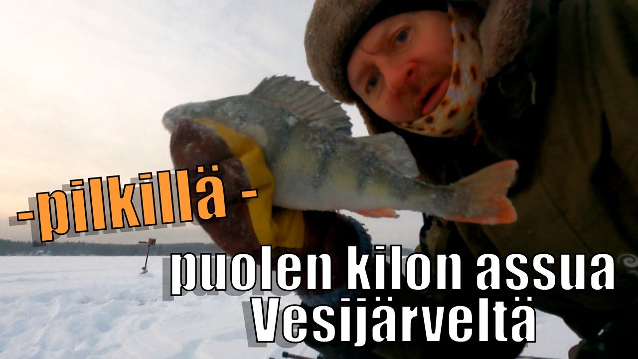 Puolen kilon assua