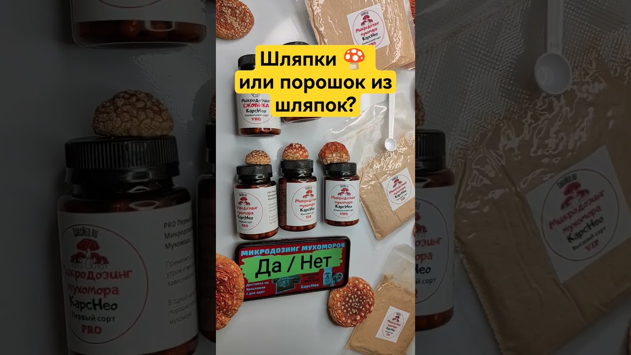 Шляпки 🍄 или порошок из шляпок? #микродозингмухомора #ежовик