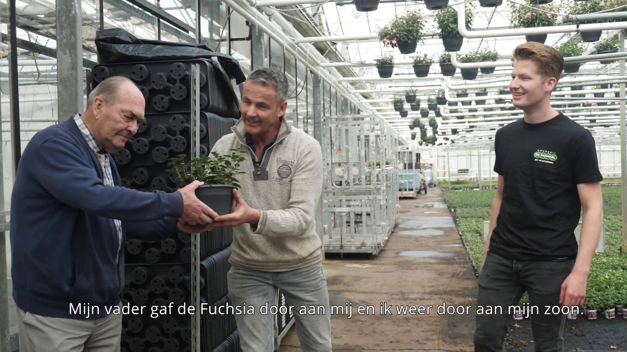 Drie generaties Bella Fuchsia kwekers uit het Westland