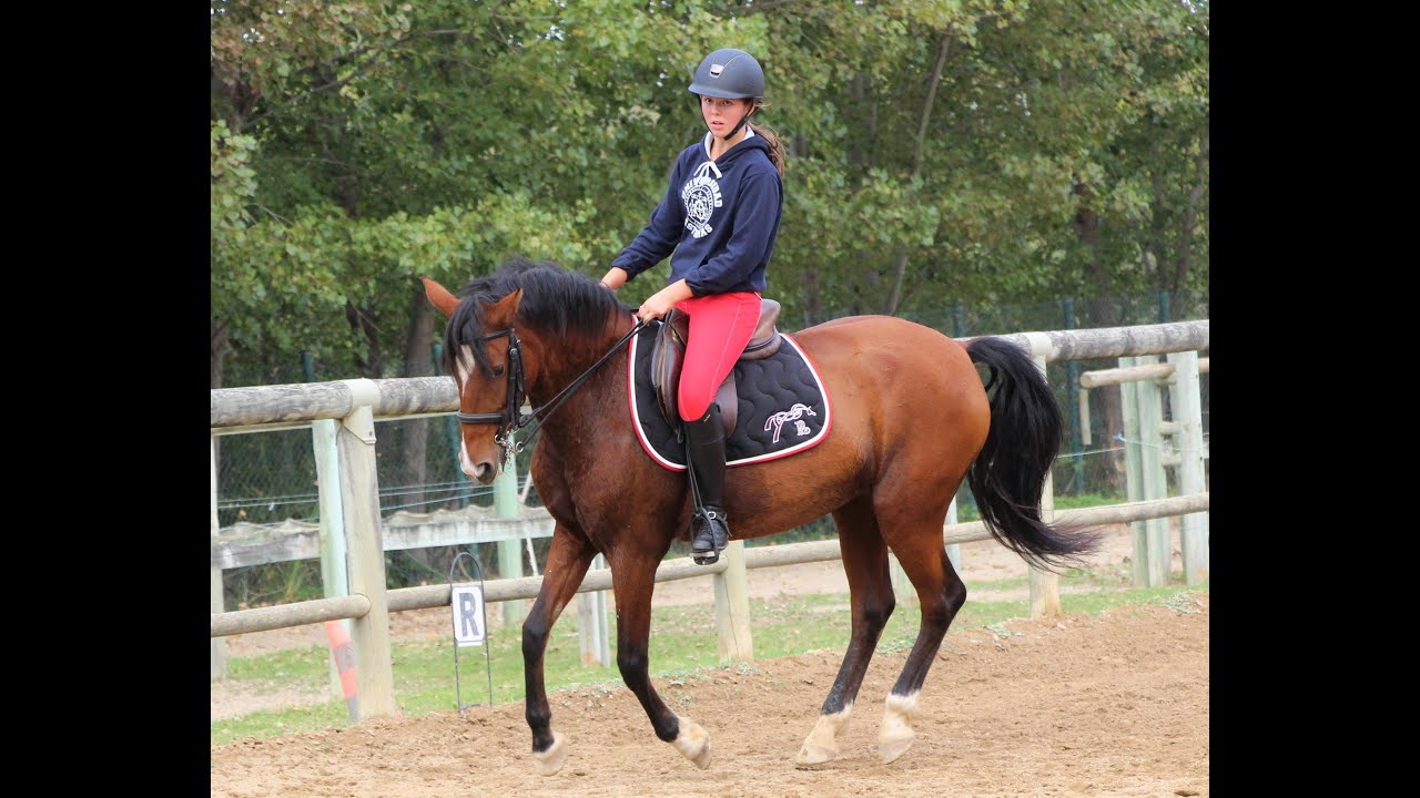 Reprise dressage Galop 7
