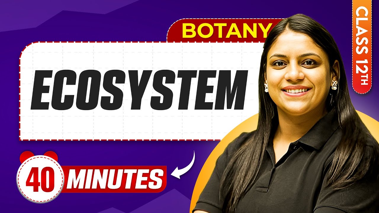 Ecosystem in 40 Minutes | Class 12th Botany | Mind Map Series