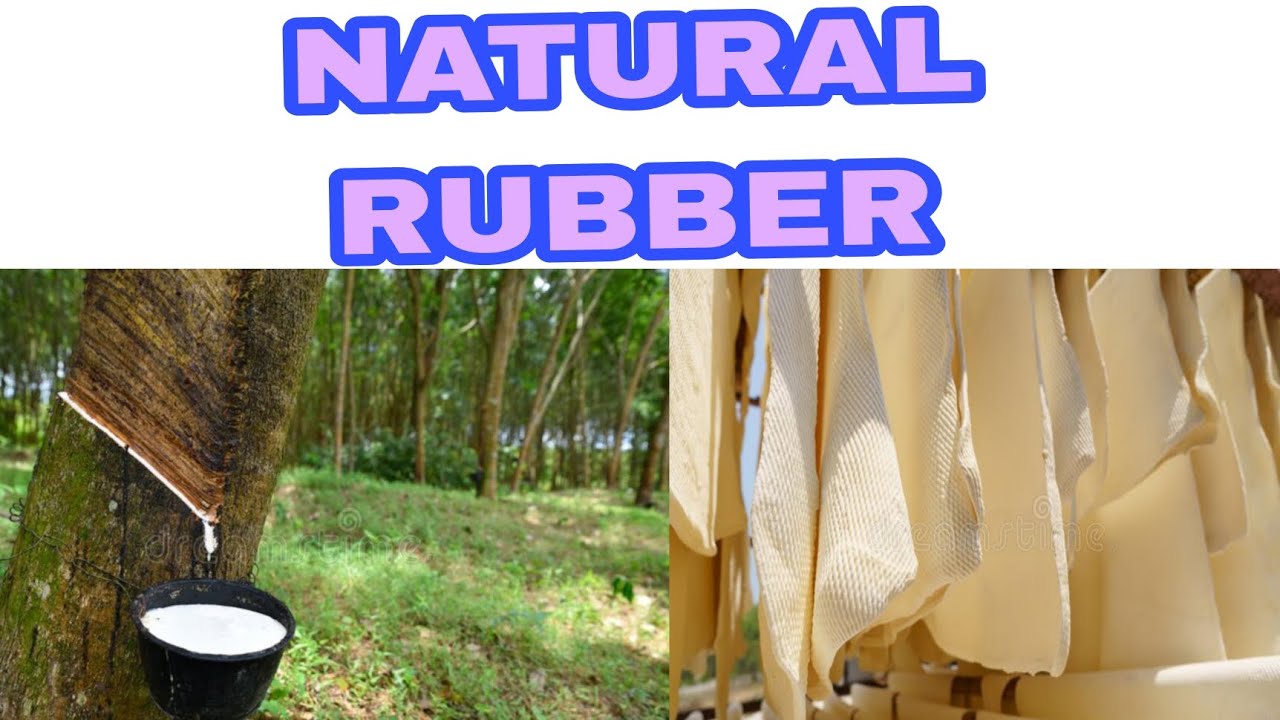 PROCESSING OF NATURAL RUBBER 