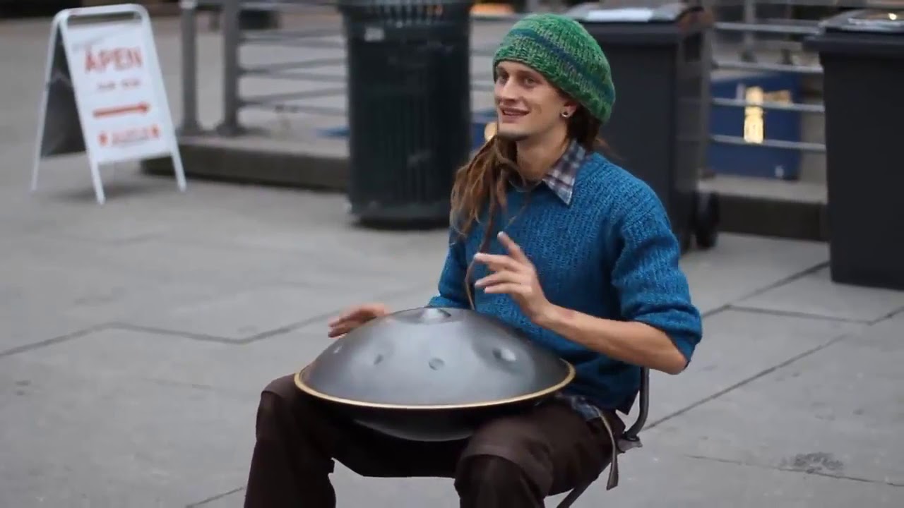 Dolphin Creative - Video