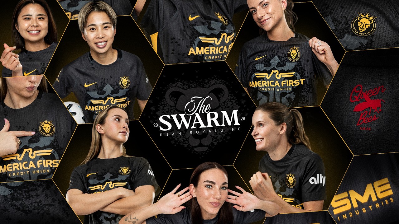 Introducing: The Swarm