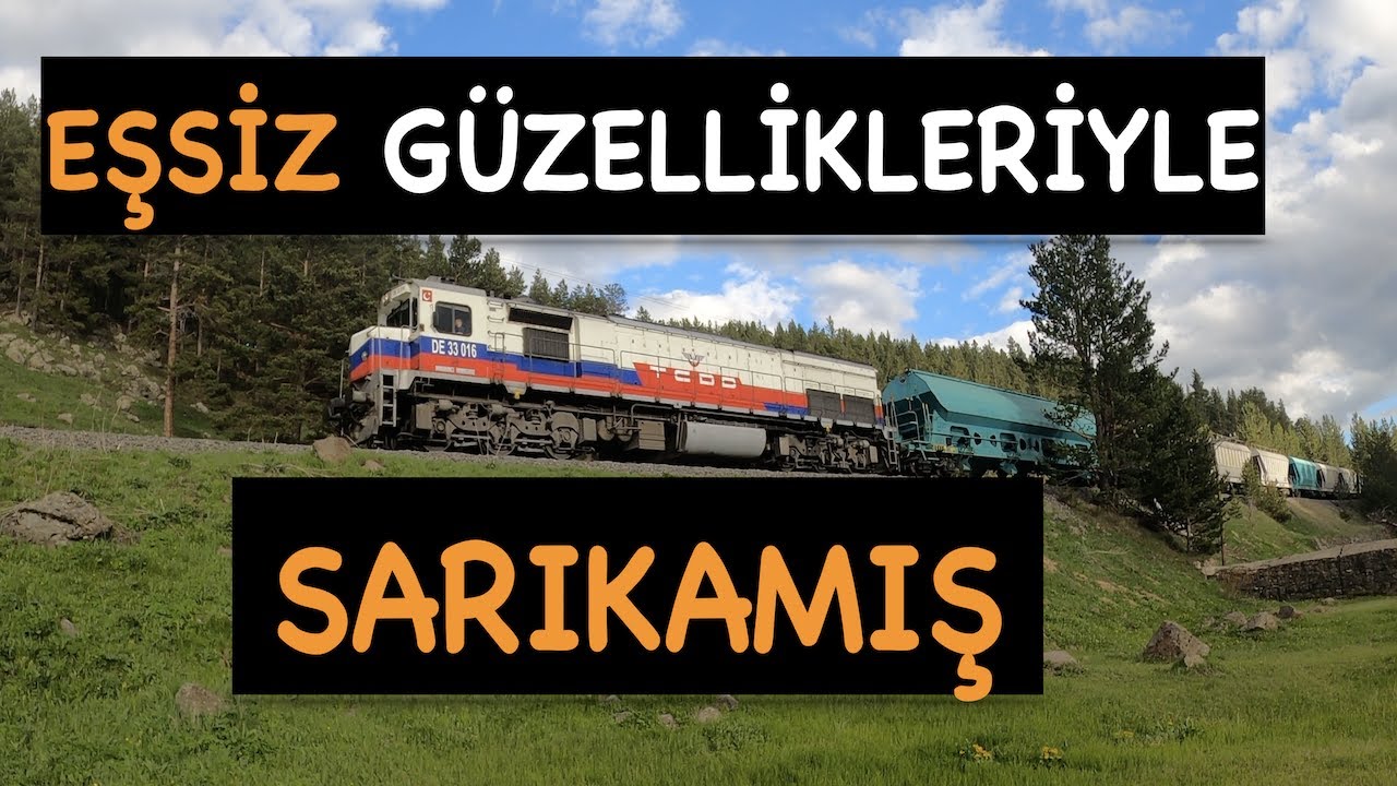 KARS I SARIKAMIŞ I ORMAN I 4K
