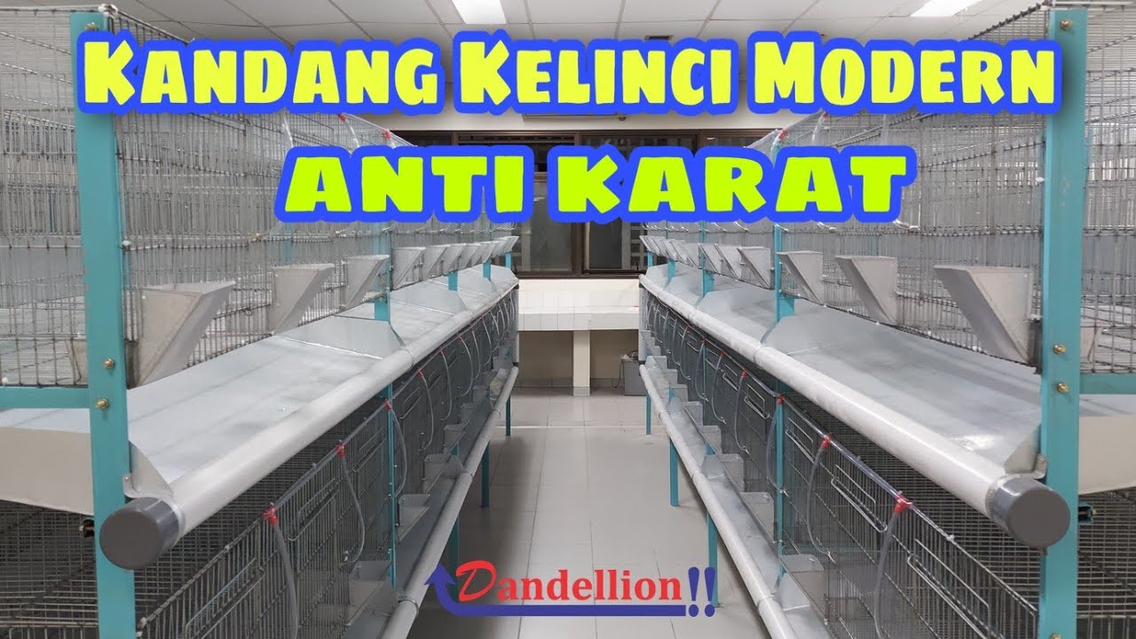 Membuat Kandang Kelinci Modern Anti Karat  Mudah & Murah (Dandellion)