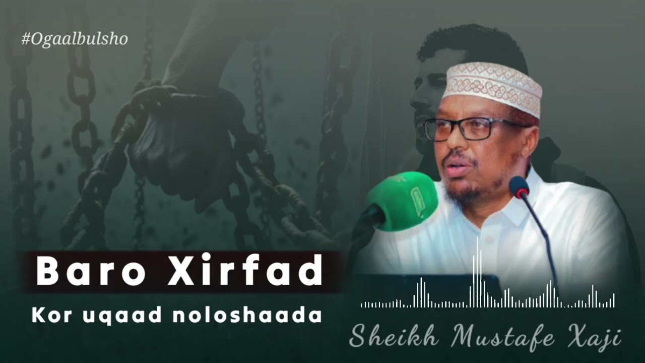 Sh Mustafe  2025 ||  Baro Xirfad Oo Noloshaada Kor Uqaad @OGAALBULSHO #Shmustafe2025 #Shmustafe