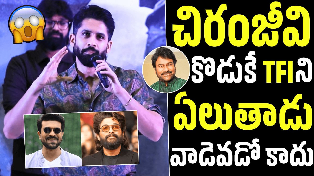 వాడెవడో కాదు😱🔥Naga Chaitanya Shocking Comments On Allu Arjun | Ram Charan | Chiranjeevi | NC