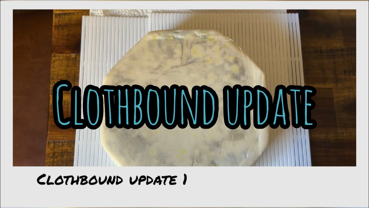 Clothbound cheese update 1