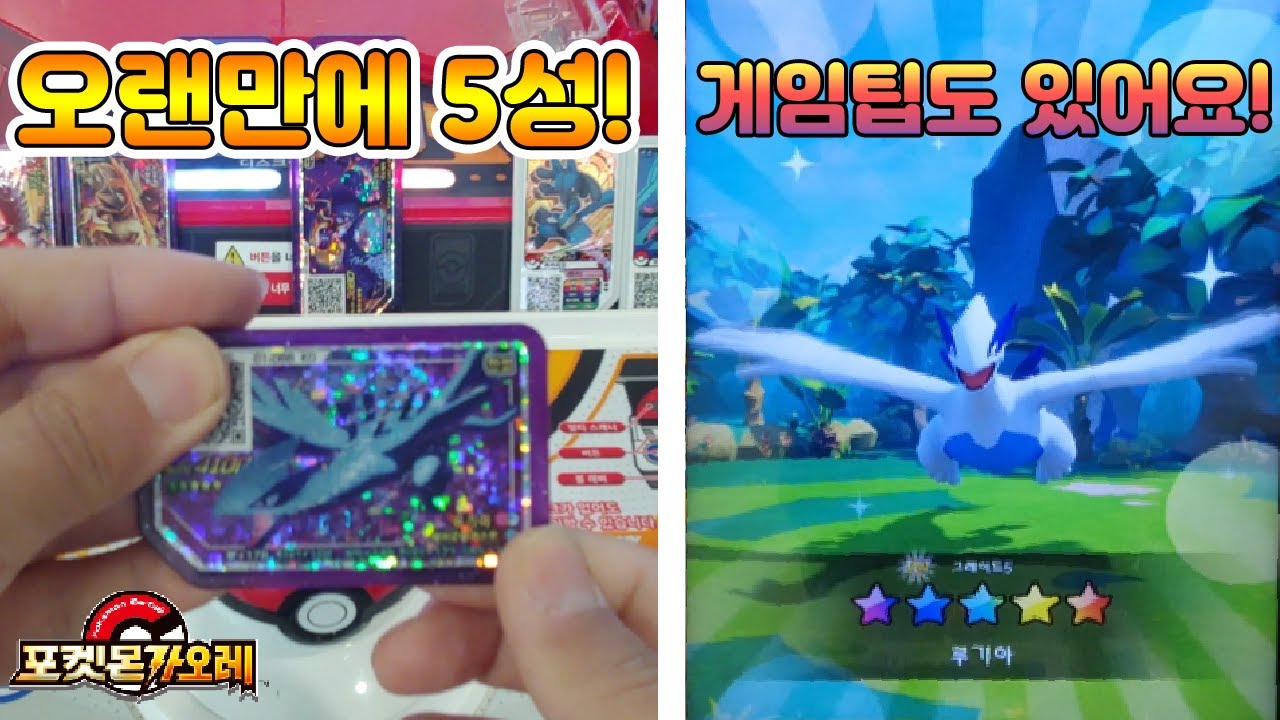 포켓몬가오레! 오랜만에 5성 잡고 게임팁도 있어요!