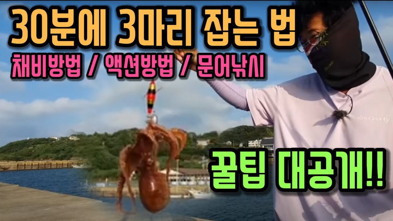 정말쉬운 문어낚시 꿀팁과 액션방법 채비방법과 실제잡는영상