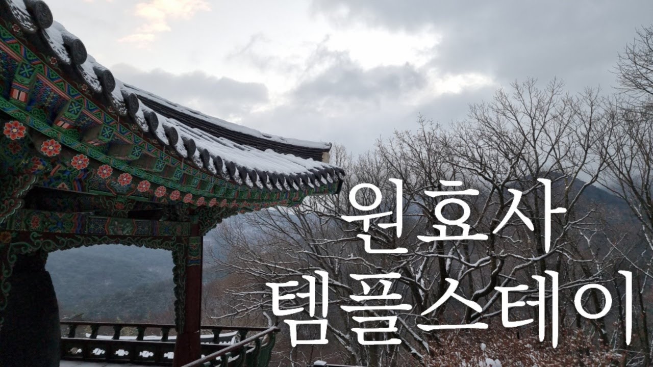 무등산 원효사 템플스테이 1박 2일 ✔휴식형/체험형 VLOG