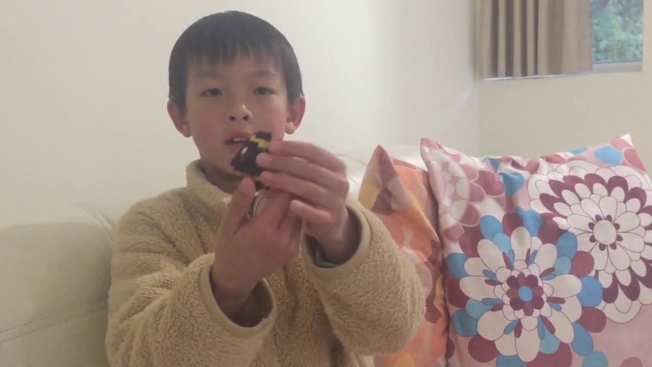 Turning Umbreon Nanoblock into 5 different things - Pokemon - Tate