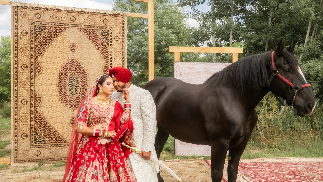 Luxury Sikh Wedding Highlights || Next day edit || Toronto-Canada || Team Alpine