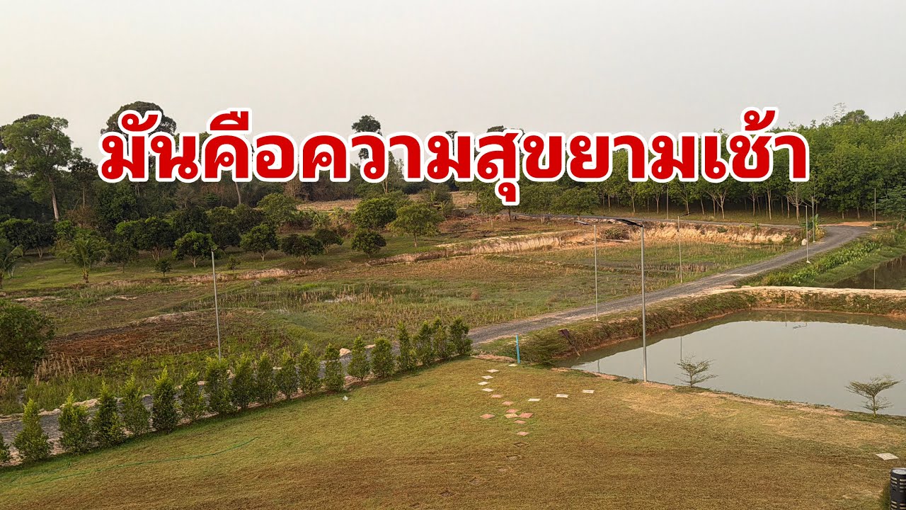 อากาศดีมากครับเช้านี้#อุ๋งอิ๋งเพชรบ้านแพง 