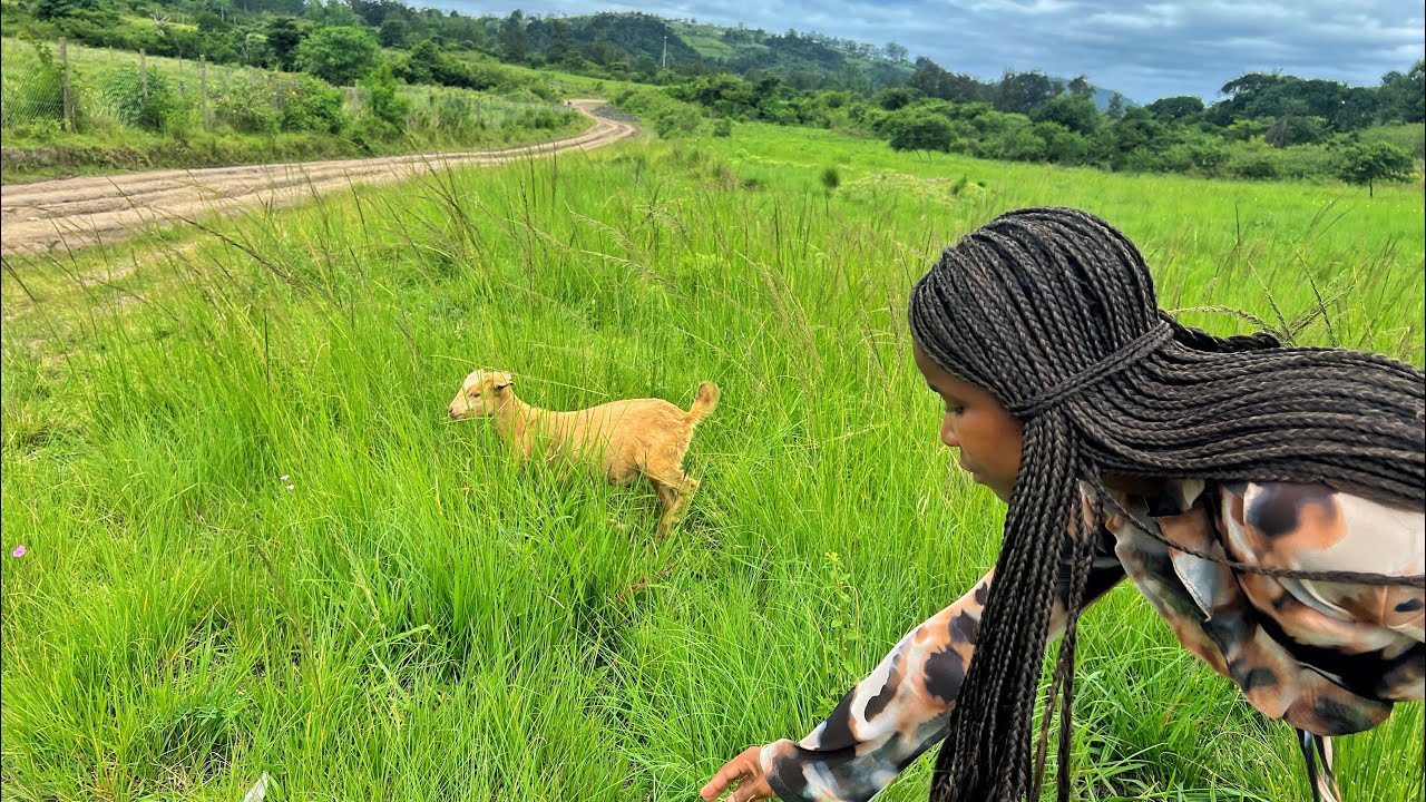 ASMR South African Village Walkthrough