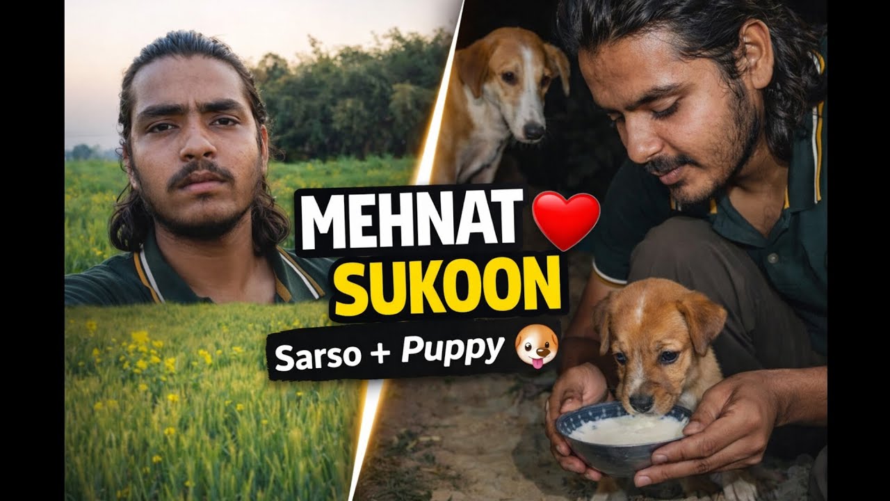 Gaon Ki Sarso Ki Katai 🌾 + Puppy Ke Sath Pyari Shaam 🐶 | Pure Village Life Vlog
