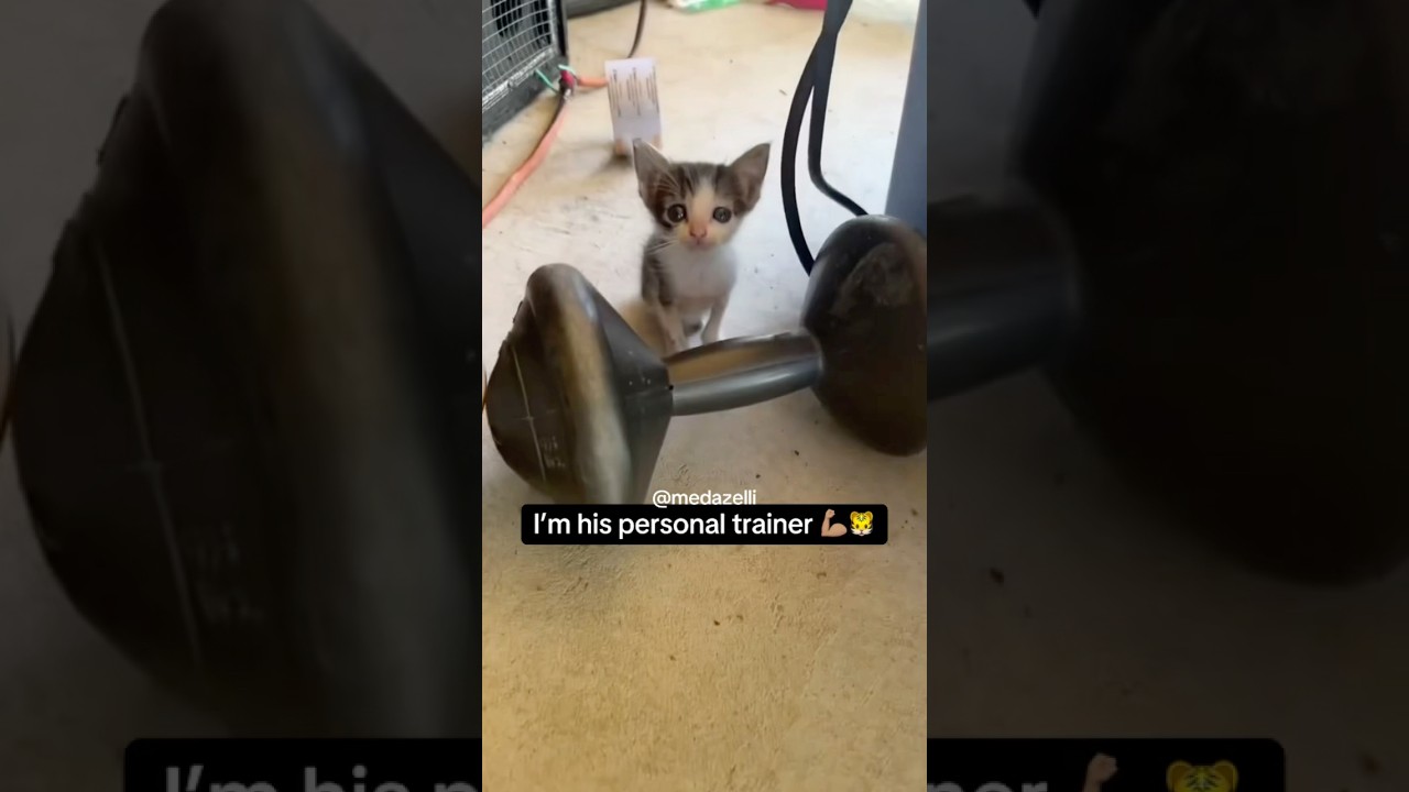 I Tried To Train Coco 😭