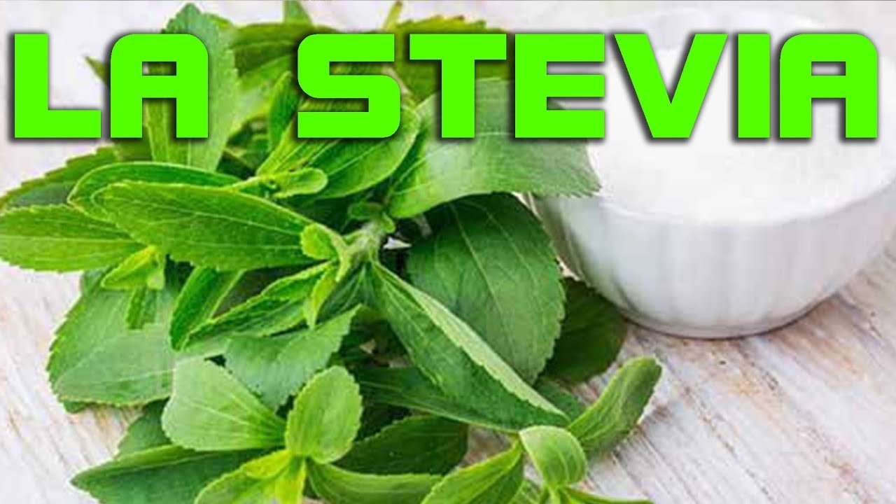 Le proprietà della Stevia