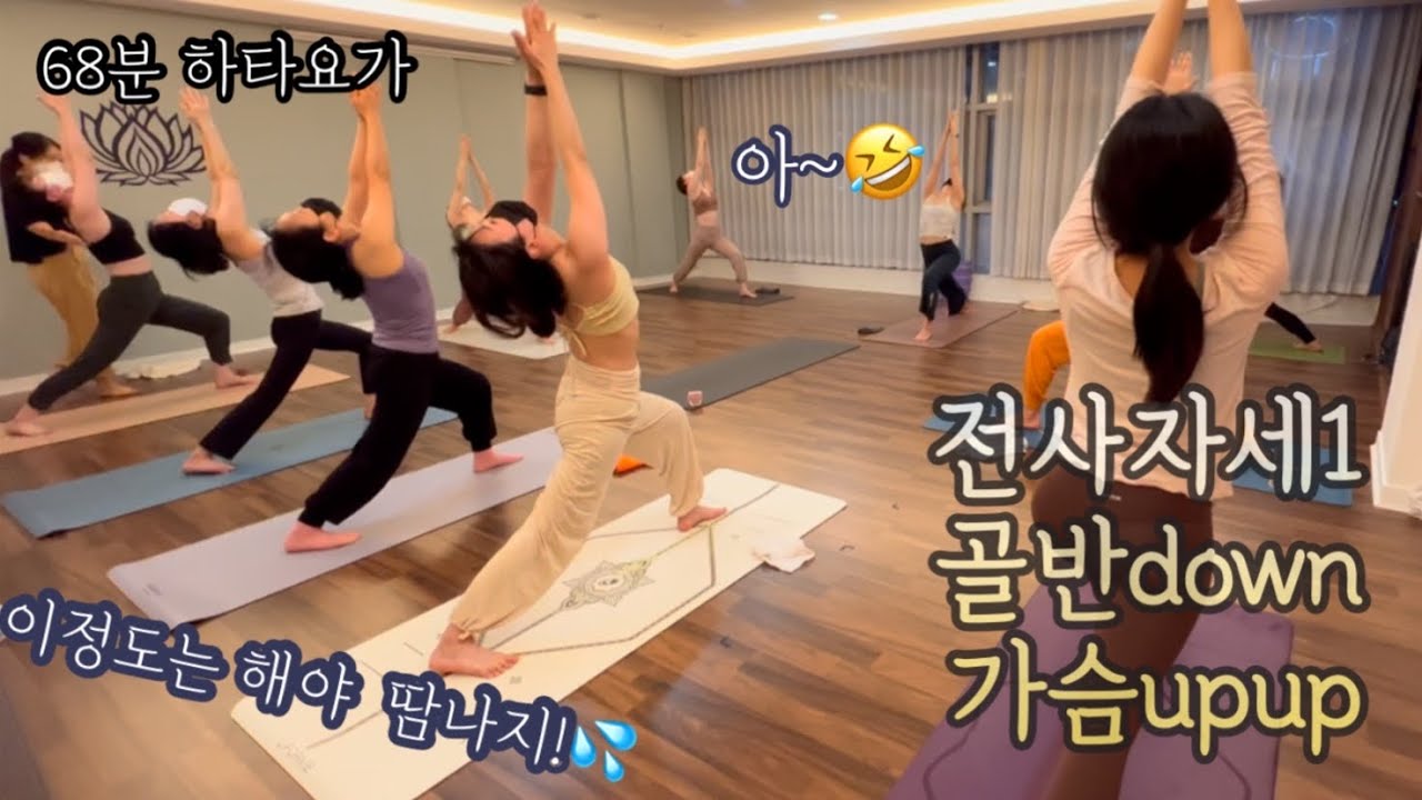 [엔젤요가] 이 정도는 해야 땀나지!💦 | 골반 down 가슴 upup | 전사자세