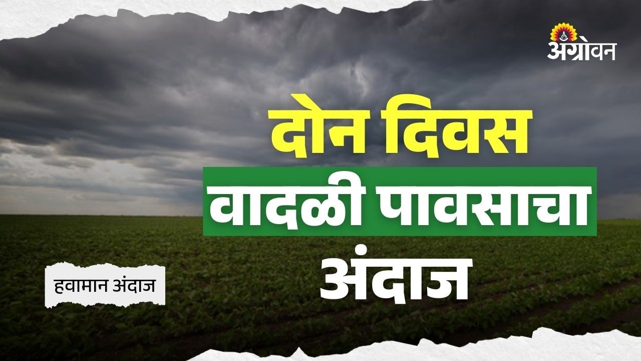 Unseasonal Rain : अवकाळी पावसामुळे राज्यातील अनेक भागात पिकांचे नुकसान | Agrowon