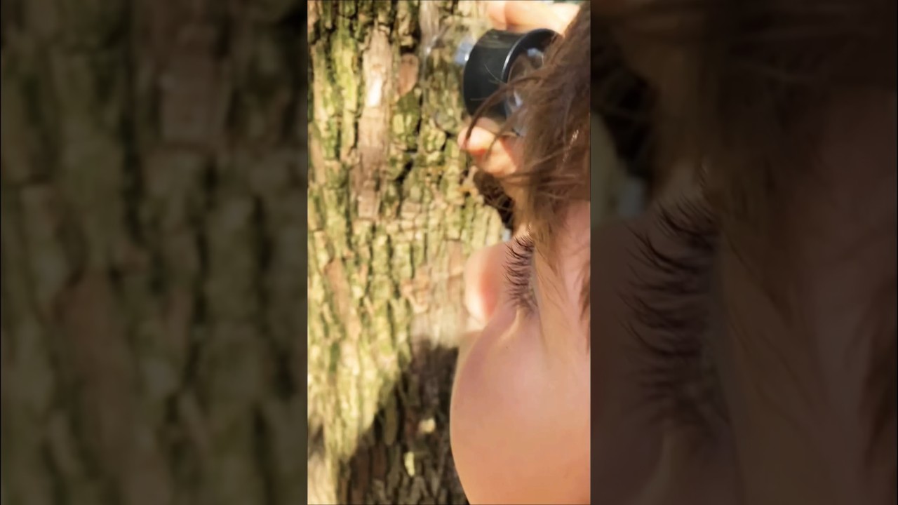 What you see being used on the tree bark is a hand magnifier 