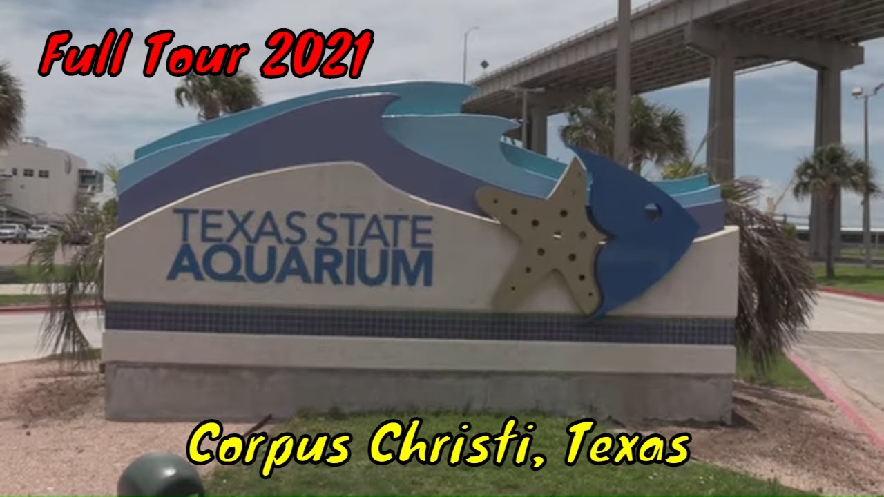 Texas State Aquarium Full Tour - Corpus Christi, Texas